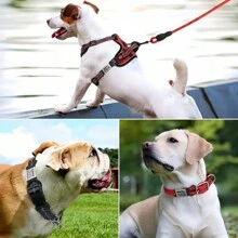 Custom Cat Dog ID Personalized Pet Collar Tag Engraving Charm Name Pendant Bone Necklace Puppy Key Ring Silicone Stainless Steel Pet Accessories