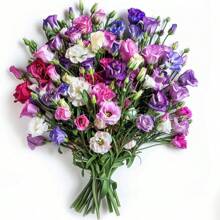 Mixed Lisianthus Flower Seeds For Planting 100 Pc, Lisianthus Seeds For Planting - 100 PCS - View 2