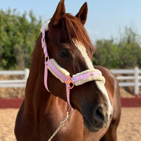 TGW RIDING Glitter Horse Halter Horse Headcollar Horse Head Collar With Detachable Faux Fur Band,Full Cob Pony Size