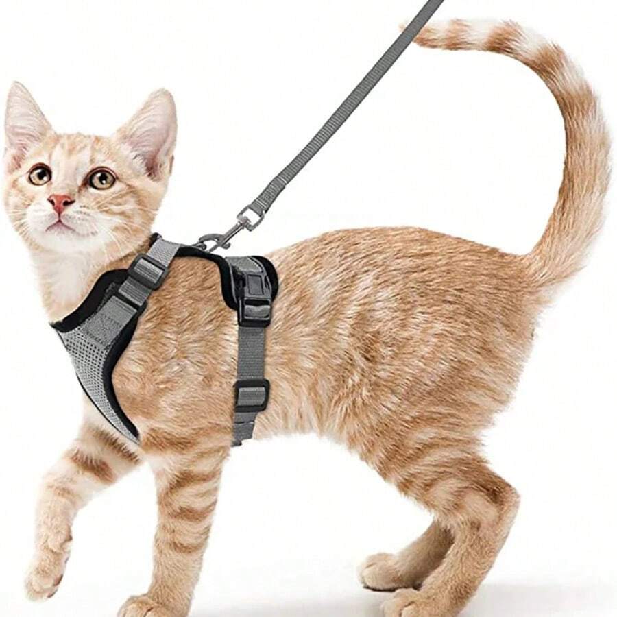 Cat Harness And Leash For Walking, Escape Proof Soft Adjustable Vest Harnesses For Cats, EasyControl