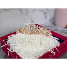 3 pièces Décorations pour enterrement de vie de jeune fille, couronne de douche de mariée, écharpe "Future mariée" et voile pour femmes. Cadeaux d'enterrement de vie de jeune fille, fournitures d'enterrement de vie de jeune fille, cadeaux, faveurs