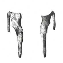 Combining Three-Piece Sets, Buy One Get Two Free, Sexy Lingerie Jumpsuit, Crotchless , Mesh Suit, Women's Jumpsuit, Sexy Lingerie Suit