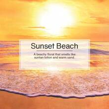 LITTLE TREES Air Fresheners Car Air Freshener. Hanging Tree Provides Long Lasting Scent For Auto Or Home. Sunset Beach, Pack Of 12 - 彩色 - 查看 3