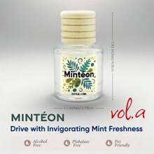 Osmore Birthday Gift, Gift For Friends, Car Air Hanging Fragrance Oil Diffuser, Car Air Freshener Diffuser For Essential Oils Scents Fragrance Aromatherapy Automobile Diffuser, Long Lasting Car Diffuser2-3Pack,Car Air Freshener Vanilla - 2pack-mint - View 8