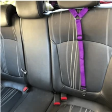 1pc Pet Retractable Adjustable Buffered Seat Belt Tether Leash, Dog Car Seat Belt Suitable For Large, Medium And Small Pets, Dog Seatbelt, Dog Car Seat, Beach, Sun, Travel