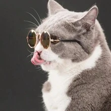 1 Stück süße retro runde Spiegelsonnenbrille, geeignet als Foto Requisite für kleine Hunde/Katzen, Haustierkatzen/Hunde Sonnenbrille, Teddy personalisierter lustiger Kopfschmuck Haustierzubehör