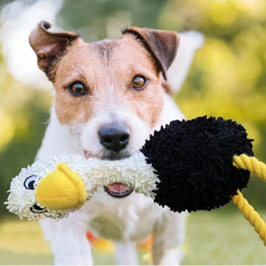 Sheep Dog Plush Toy Set - 3pk4534634