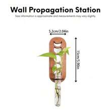 1 pièce Jardinière murale pour plantes d'intérieur, station de multiplication de phases de la lune avec support mural, vases de multiplication pour plantes, station de multiplication murale avec support en bois, tubes à essai en plastique, jardinières superposées, terrarium mural pour porte-plante de décoration murale de maison/bureau, boutures hydroponiques, support en bois pour plantes hydroponiques, décoration de jardin unique pour femmes, amateurs de plantes, décoration de chambre, décorations de mariage, décorations de maison