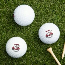 Balles de golf personnalisées 12/20 pièces, avec votre nom personnalisé sous le chariot rouge. Balles de pratique en caoutchouc à deux couches rondes. Balles personnalisées pour sports de plein air, convenant pour les sports d'équipe, le Nouvel An, la Saint-Valentin, cadeau idéal pour la famille et les amis passionnés de golf