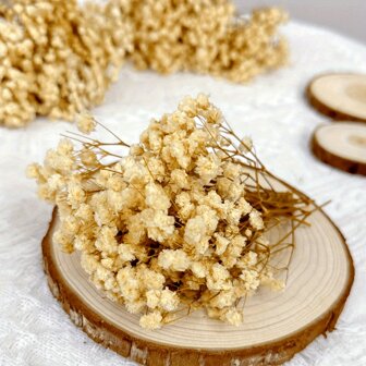 30/60 件装干满天星花束，天然工艺花，可用于 DIY 贺卡、手工花束和桌面装饰，适合 14 岁及以上