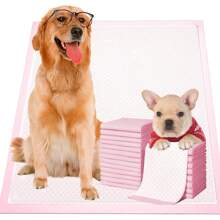 Almohadillas absorbentes desechables rosas para entrenamiento de mascotas, extra gruesas, 100 piezas, impermeables, de material tejido, de secado rápido, reutilizables, para entrenamiento en casa y viajes, material absorbente de desechos de mascotas.