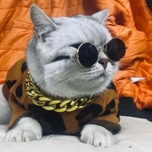 1 Stück süße retro runde Spiegelsonnenbrille, geeignet als Foto Requisite für kleine Hunde/Katzen, Haustierkatzen/Hunde Sonnenbrille, Teddy personalisierter lustiger Kopfschmuck Haustierzubehör