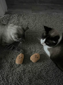 1 件宠物土豆玩具 - 卡通脸，可爱的动物设计，适合小型犬，互动游戏时间和耐咀嚼材料，狗玩具，活泼的宠物配件，精美的宠物用品，耐用的宠物物品