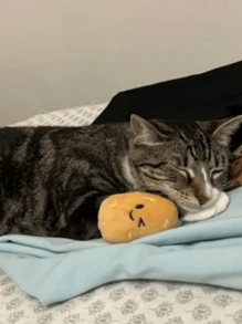 1 件宠物土豆玩具 - 卡通脸，可爱的动物设计，适合小型犬，互动游戏时间和耐咀嚼材料，狗玩具，活泼的宠物配件，精美的宠物用品，耐用的宠物物品