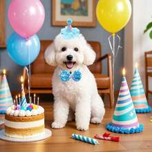 1 Set Pet Bow Tie Hat, Birthday Party Decorations, Lace Sequins Bowknot Pet Hat Set