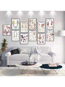 1 件装人体解剖肌肉系统海报解剖图人体医学壁画照片印刷医学教育办公室装饰壁画无框架 - 彩色 - 查看 5