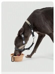 1 pièce Muselière pour chien de haute qualité, taille S/M/L pour grands/moyens/petits chiens pour prévenir la morsure, l'aboiement, le rongeage et la léchaison; 1 pièce Laisse et collier semi-p de haute qualité pour animaux de compagnie, anti-cassure pour petits/moyens/grands chiens, collier de marche haut de gamme; 1 pièce Laisse de haute qualité pour animaux de compagnie, anti-cassure et absorbant les chocs pour petits/moyens/grands chiens, laisse de marche haut de gamme, couleur aléatoire