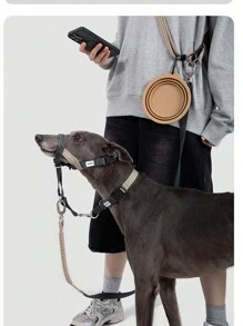 1 pièce Muselière pour chien de haute qualité, taille S/M/L pour grands/moyens/petits chiens pour prévenir la morsure, l'aboiement, le rongeage et la léchaison; 1 pièce Laisse et collier semi-p de haute qualité pour animaux de compagnie, anti-cassure pour petits/moyens/grands chiens, collier de marche haut de gamme; 1 pièce Laisse de haute qualité pour animaux de compagnie, anti-cassure et absorbant les chocs pour petits/moyens/grands chiens, laisse de marche haut de gamme, couleur aléatoire