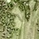 Greenery