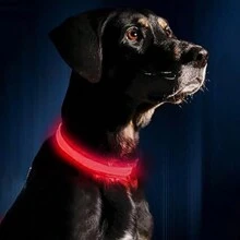 1pc New LED Glow Dog/Cat Collar, Luminous Pet Collar For Night Safety And Anti-Lost