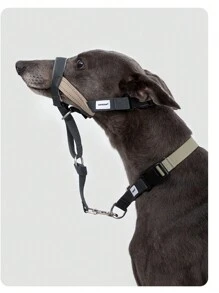 1 pièce Muselière pour chien de haute qualité, taille S/M/L pour grands/moyens/petits chiens pour prévenir la morsure, l'aboiement, le rongeage et la léchaison; 1 pièce Laisse et collier semi-p de haute qualité pour animaux de compagnie, anti-cassure pour petits/moyens/grands chiens, collier de marche haut de gamme; 1 pièce Laisse de haute qualité pour animaux de compagnie, anti-cassure et absorbant les chocs pour petits/moyens/grands chiens, laisse de marche haut de gamme, couleur aléatoire