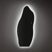 Espejo de Cuerpo Completo con Luz Led, 48*20 Pulgadas Espejo de Piso Led Irregular, Espejo De Cuerpo Entero con regulable, 3 Colores, A prueba de explosiones, para Sala, Dormitorio, Entrada, Probador - 1 - Ver 9