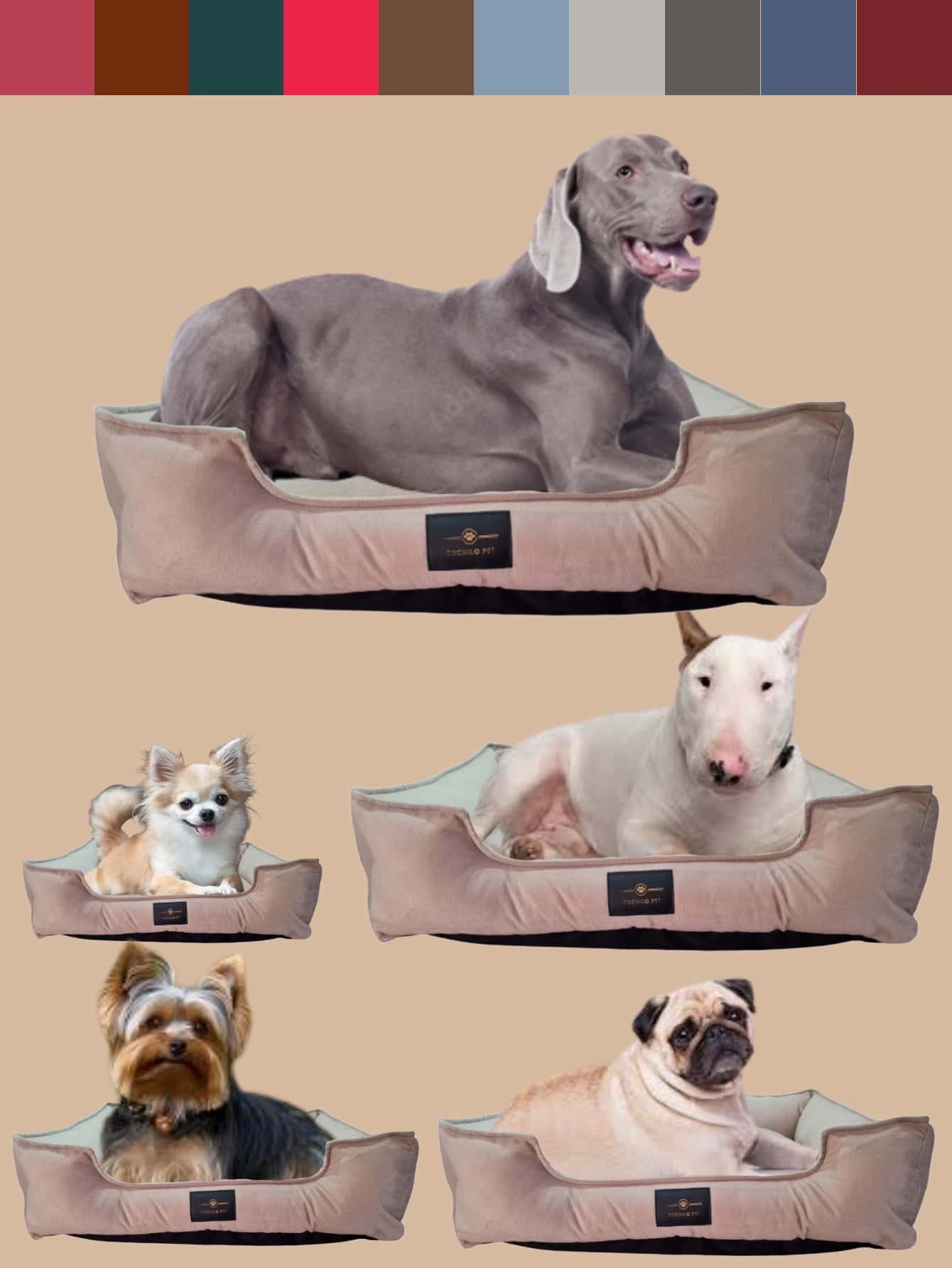 Pet Bed XG 95 Cm X 75 Cm Waterproof Bottom For Large Breeds Velvet Rectangular Dog Bed Size GG 85 Cm X 70 Cm Soft Cloud Pet Bed For Large Dogs Cats Rabbit Suede Washable Bed For Pets Dogs And Cats G 70 Cm X 60 Cm Luxury Pet Bed Suede Bed Comfort 60 X 50 Siliconized Filling And Reinforced Zipper Medium Dogs And Cats Rectangular Velvety Fabric Bed 50 X 40 For Small Dogs Washable Luxury - 米色 - 查看 1