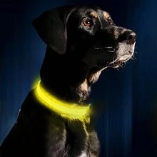 1pc New LED Glow Dog/Cat Collar, Luminous Pet Collar For Night Safety And Anti-Lost