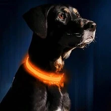 1pc New LED Glow Dog/Cat Collar, Luminous Pet Collar For Night Safety And Anti-Lost