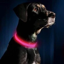 1pc New LED Glow Dog/Cat Collar, Luminous Pet Collar For Night Safety And Anti-Lost