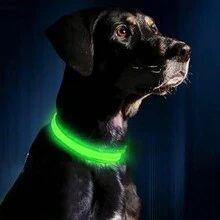 1pc New LED Glow Dog/Cat Collar, Luminous Pet Collar For Night Safety And Anti-Lost