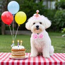 1 Set Pet Bow Tie Hat, Birthday Party Decorations, Lace Sequins Bowknot Pet Hat Set