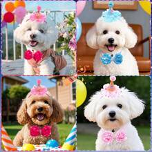 1 Set Pet Bow Tie Hat, Birthday Party Decorations, Lace Sequins Bowknot Pet Hat Set