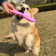 Outdoor Floating Flying Disc Dog Toy, Made Of EVA & Rubber, Chew-Resistant - Multicolor - View 3