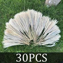 30/80/110pcs Natural Fluffy Pampas Grass Decor Set Includes Pompom Flowers, Reed, Bunny Tails Dried Pampas Grass Bouquet, For Boho Decor Wedding, Home Decoration (Black & White), Valentine Day, Gift - Black and White - View 9