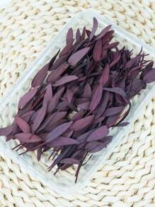 20/50/100pcs Preserved Eucalyptus Millet Leaves Bundles, Suitable For Wedding, Birthday, Graduation, Home Decor - Natural Dried Flowers & Plants Arrangement, Rattan Material, Photography Props - No Electricity, No Feathers, Suitable For Christmas, Halloween, Easter Gifts - Multicolor - View 20