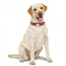 CL156 Woven Decorative Pet Collar, Rhinestone Crown Design Dog Collar, Soft Lining For More Comfort, Suitable For Small/Medium/Large Dogs - Multicolor - View 11