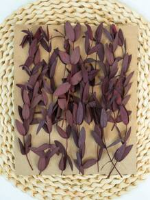 20/50/100pcs Preserved Eucalyptus Millet Leaves Bundles, Suitable For Wedding, Birthday, Graduation, Home Decor - Natural Dried Flowers & Plants Arrangement, Rattan Material, Photography Props - No Electricity, No Feathers, Suitable For Christmas, Halloween, Easter Gifts - Multicolor - View 11