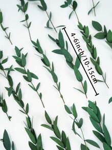 20/50/100pcs Preserved Eucalyptus Millet Leaves Bundles, Suitable For Wedding, Birthday, Graduation, Home Decor - Natural Dried Flowers & Plants Arrangement, Rattan Material, Photography Props - No Electricity, No Feathers, Suitable For Christmas, Halloween, Easter Gifts - Multicolor - View 16