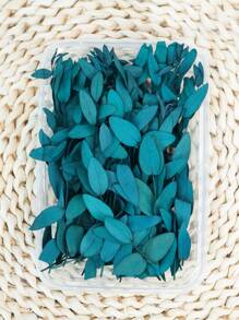 20/50/100pcs Preserved Eucalyptus Millet Leaves Bundles, Suitable For Wedding, Birthday, Graduation, Home Decor - Natural Dried Flowers & Plants Arrangement, Rattan Material, Photography Props - No Electricity, No Feathers, Suitable For Christmas, Halloween, Easter Gifts - Multicolor - View 9