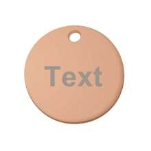Customizable 10 Font Options, 4 Color Choices, Personalized Pet Name And Contact Information Tag, Stainless Steel Anti-Lost Name Plate For Cats And Dogs - Multicolor - View 39