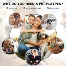 BestPet 24,30,36,42,48 Inch Dog Crates For Large Dogs Folding Mental Wire Crates Dog Kennels Outdoor And Indoor Pet Dog Cage Crate With Double-Door,Divider Panel, Removable Tray (Black, 48") - 黑色 - 查看 2