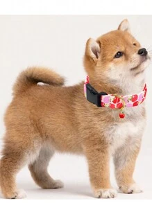 1 pièce Collier de chien doux Collier d'été mignon pour chiens femelles et mâles de petite, moyenne et grande taille avec un charme de fruit