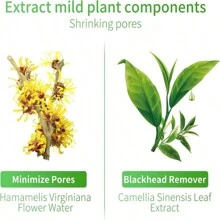 LANBENA Pore Minimizer Serum, Pores Shrinking Serum For Face, Oil Control Firming, Tightening Pores, Vegan Moisture After Blackhead Remover, Centella Asiatica, Hamamelis Virginiana, 0.6 Fl.Oz Hydrating Dry Skin - 綠色 - 查看 3