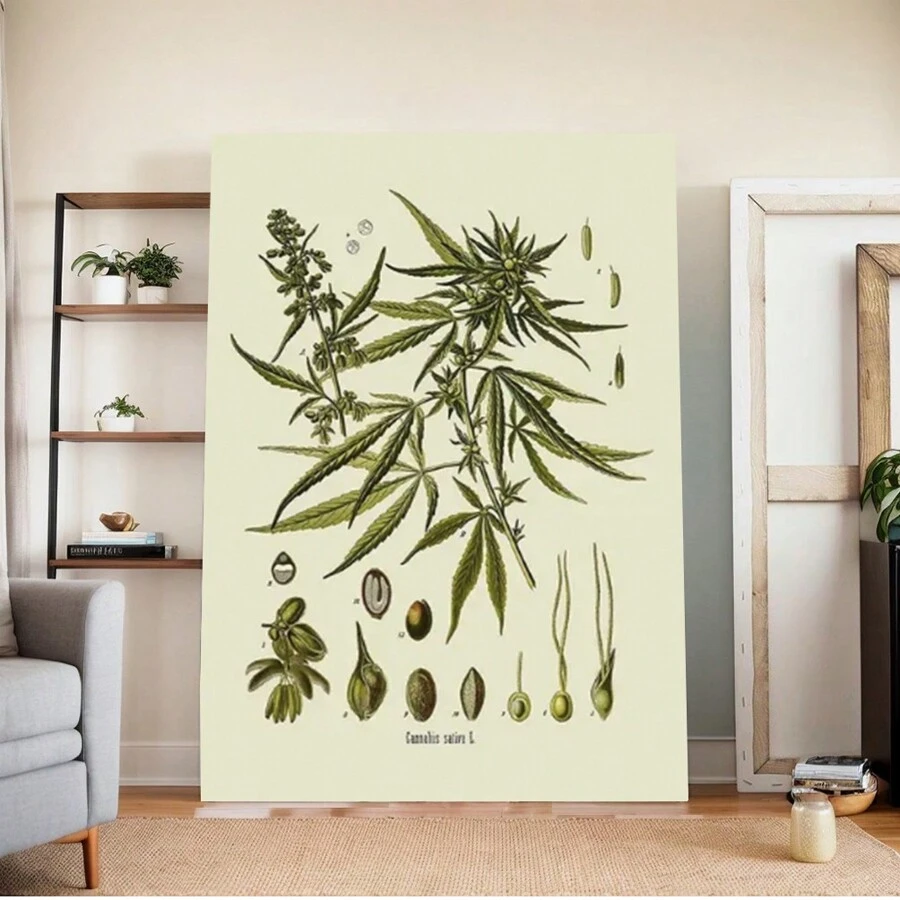 Chic Vintage Botanical Canvas Prints -  Herb & Medicinal Plant Wall Art For Living Room, Kitchen Decor - Unframed - View 1