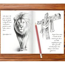 Sketch e Planner