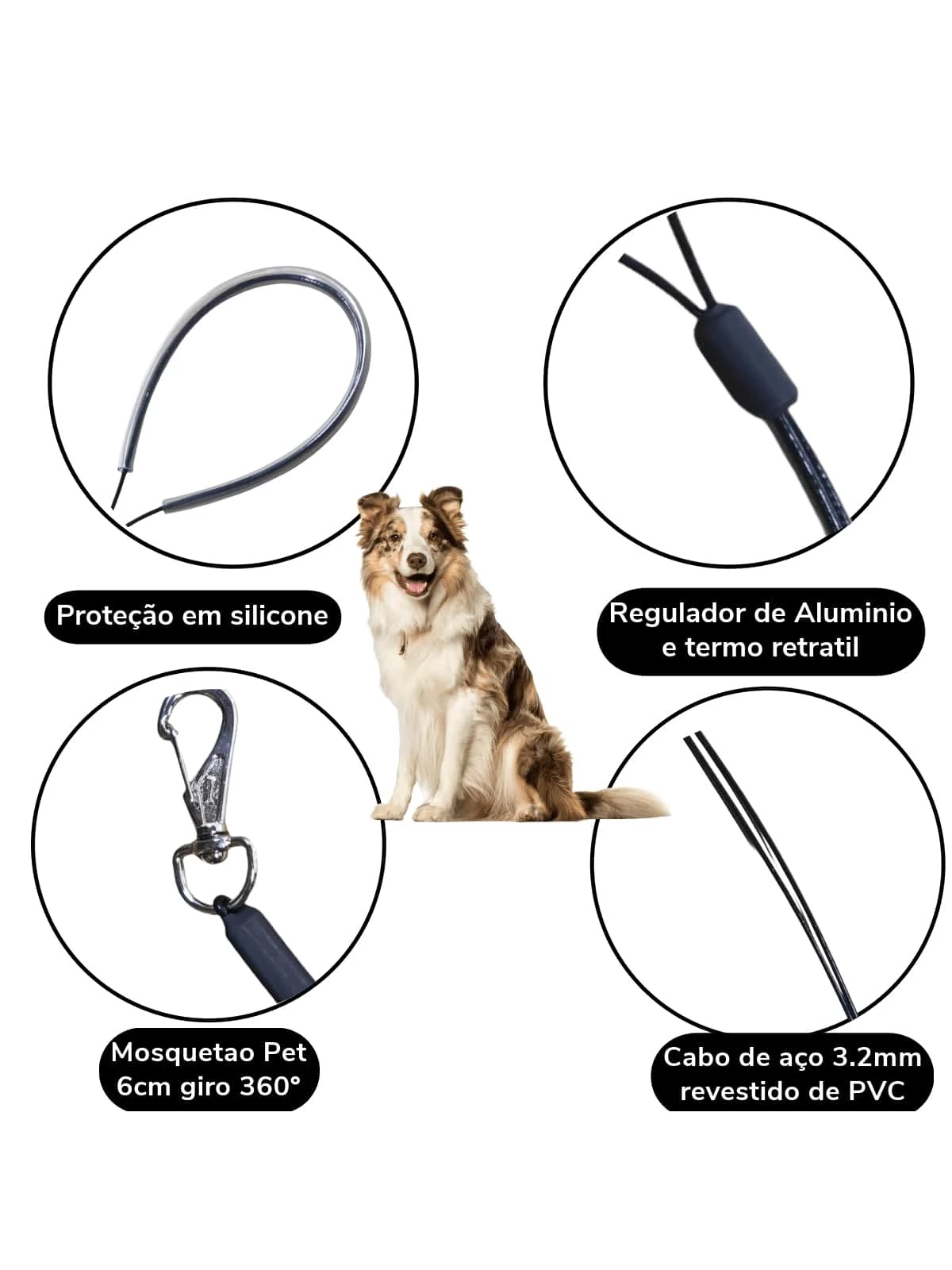 Muzzle choices - Cornell University College of Veterinary Medicine