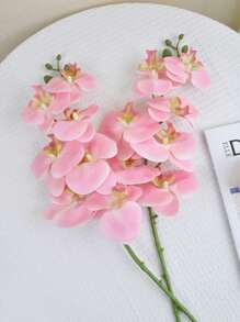 1 件/2 件/4 件人造蝴蝶兰真实触感乳胶兰花带茎植物春季婚礼花瓶室内外装饰完美家居装饰