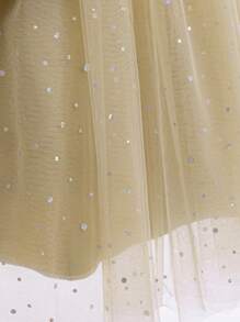 Young Girls Embroidered Mesh Princess Dress With Puff Sleeves, Suitable For School Graduation, Flower Girl, Wedding, Does Not Include Headband - Champagne - View 7