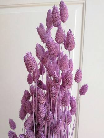 25/50/100 件宝石草干花，多色，适用于家居装饰、花瓶装饰、DIY 花束、蛋糕装饰